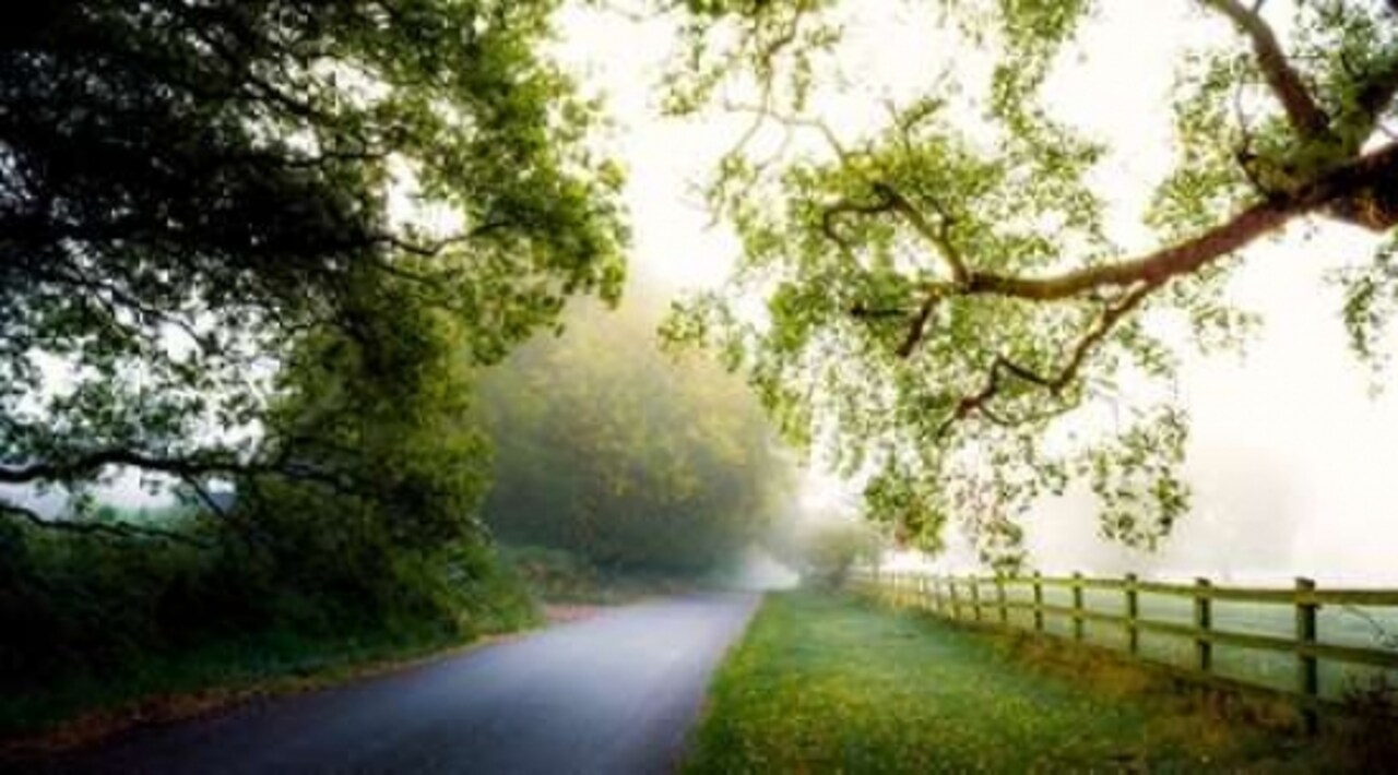 Octobers Fog Poster Print by Adelino Goncalves - Item # VARPDXG771D